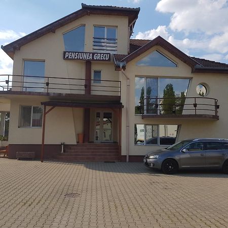 Pensiunea Grecu Lugoj Exteriér fotografie
